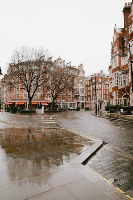 A wet city street scene in Westminster, featuring a row of multi-storey red brick and white facaded Victorian buildings with large windows, some with balconies. Bare trees line the sidewalk, indicating winter or early spring. The street is empty, with the pavement and road surfaces visibly wet from recent rain, creating reflective patches. A small section of the pavement near the curb displays freshly laid or cleaned tiles, with a slight incline leading to the road. The area is illuminated by natural daylight with overcast skies, contributing to the subdued lighting. In the foreground, part of a concrete and tile sidewalk is visible, with a portable trolley or moving equipment possibly nearby, suggesting activity related to home relocation or furniture transport. The scene is captured from a street-level perspective, emphasizing the urban environment suited for house removals services like those offered by Man With a Van Mayfair, particularly during city-based furniture moving or logistics operations.